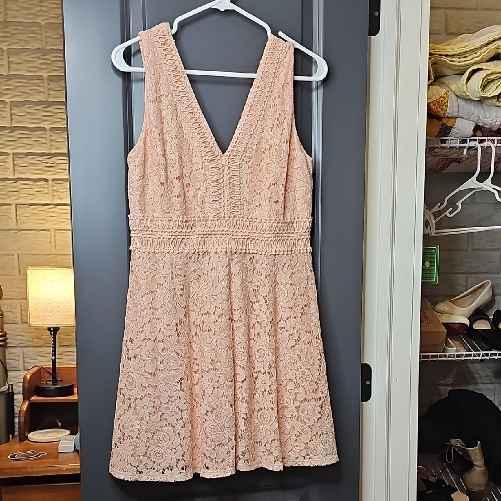 Francesca's Collections Blush Lace Mini Dress